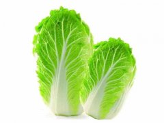 “我是理县大白菜!快来采!” “我是理县大白菜!快来采!”